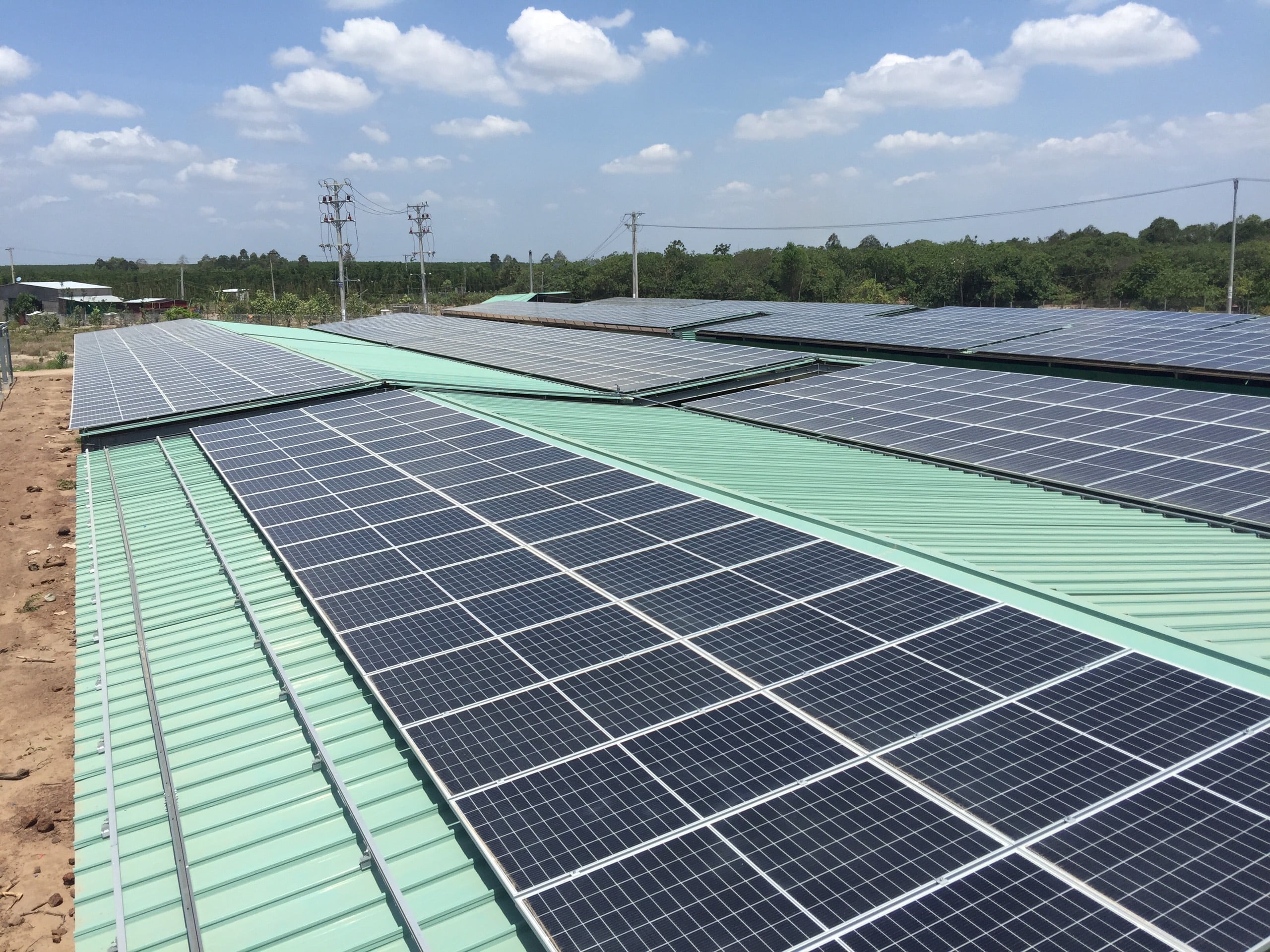 DATA Cons - Trang trai nam xuyen moc - nang lương mat troi ap mai