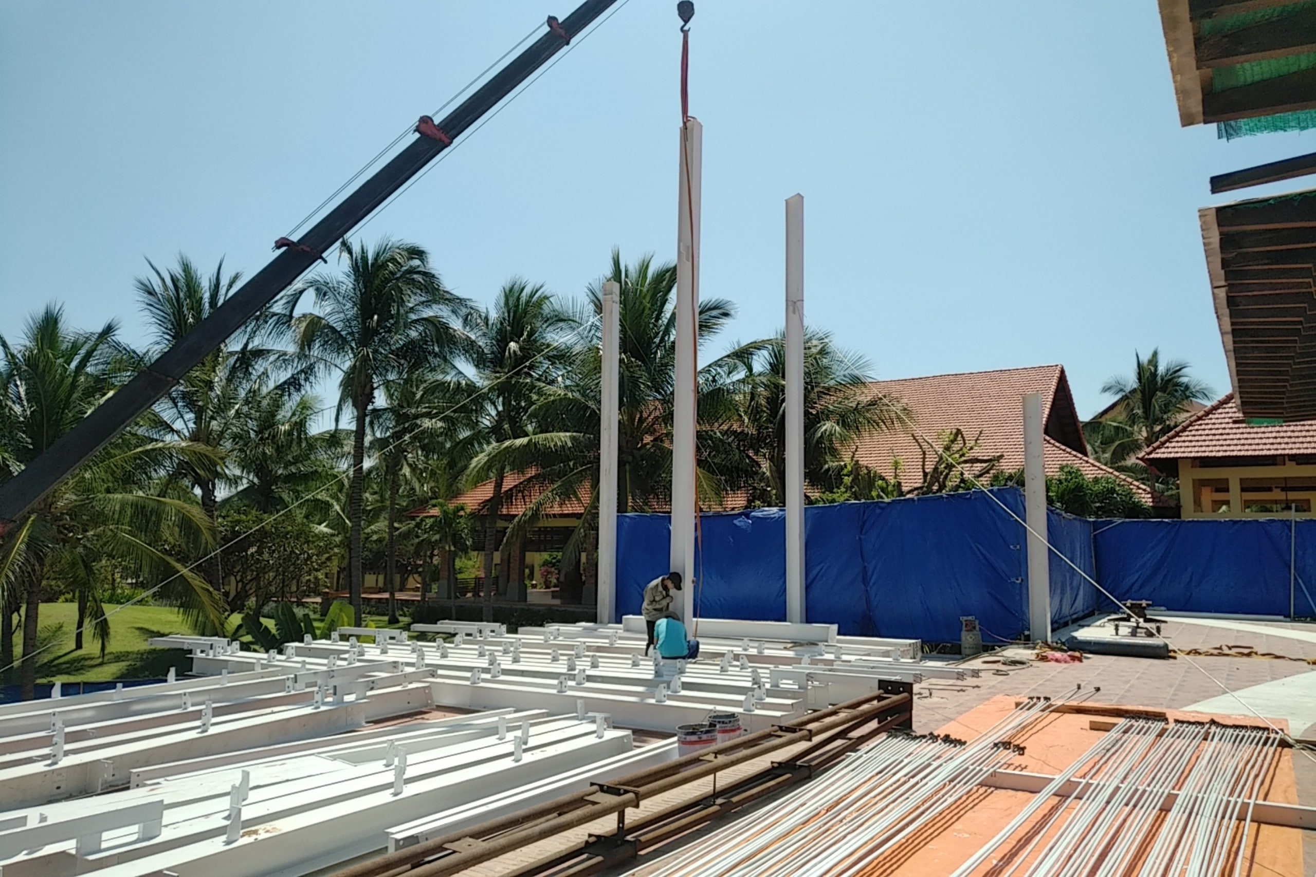 pandanus - DATA Con-cong ty co phan thiet ke xay dung