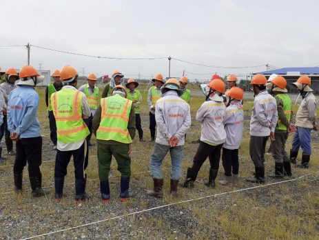 DATA Cons-Nitori-cong ty co phan thiet ke xay dung