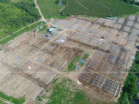 DATA Cons - trang trai duọc lieu nang luong mat troi ap mai - cong ty co phan thiet ke xay dung data