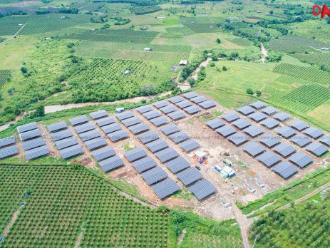 DATA Cons - trang trai duọc lieu nang luong mat troi ap mai - cong ty co phan thiet ke xay dung data