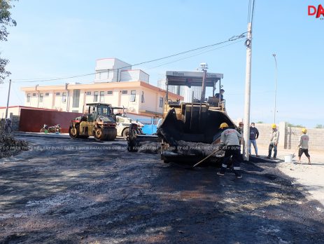 DATA cons - Cai tao trang trai heo NewHope binh Phuoc 2